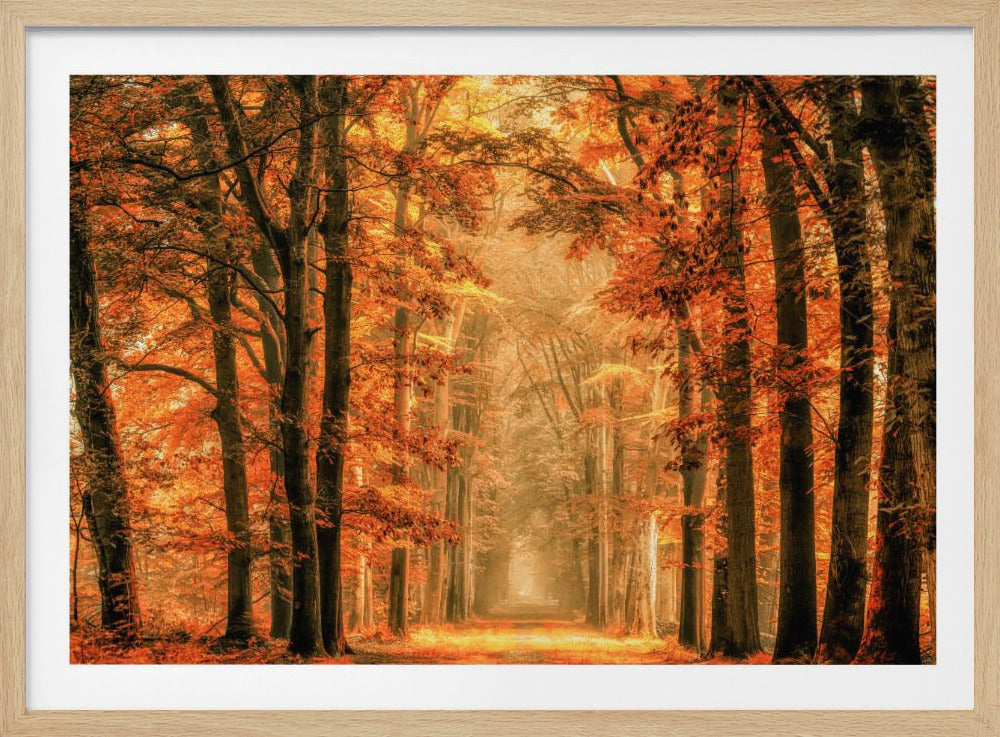 A framed photograph of a straight path leading through a dense autumn forest. The tall trees have fiery orange leaves that form a canopy over the path, which disappears into a bright, misty glow in the distance. Poster