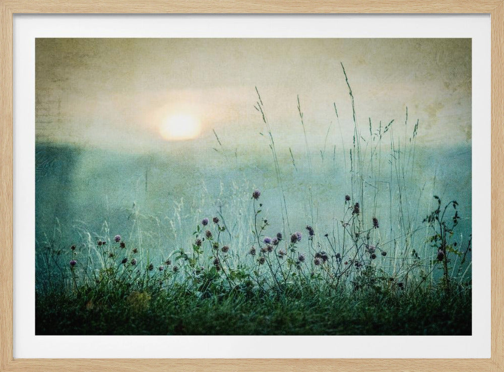 A framed photograph of a misty meadow at sunrise. The soft, pale sun hangs in a hazy, textured sky. In the foreground, tall green grasses and small purple wildflowers are in soft focus, creating a serene and dreamy atmosphere. Decor