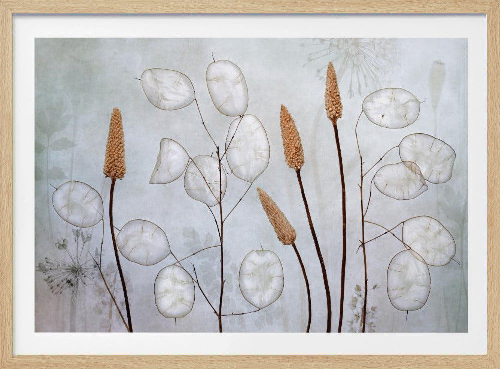 A framed botanical artwork featuring delicate dried stems of silver dollar plants (Lunaria annua) with their translucent white pods, alongside taller brown grasses. The arrangement is set against a muted, pale blue-gray background with faint floral imprints, creating a serene and natural composition. Wall Art