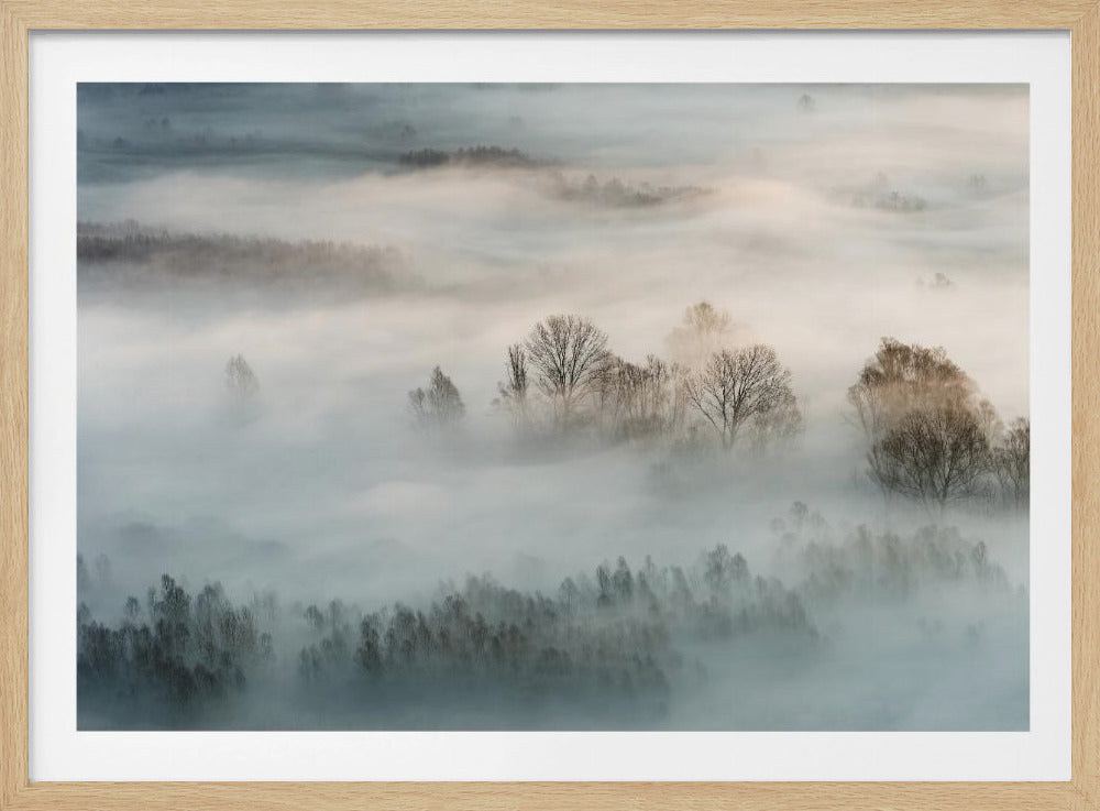 An atmospheric landscape photograph of a forest shrouded in thick, rolling fog, with the bare branches of treetops emerging from the mist, creating a serene and mysterious scene, presented in a silver frame. Wall Art