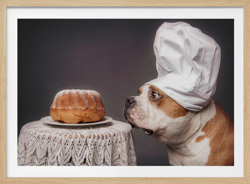 A humorous photo of a brown and white dog wearing an oversized white chef's hat, looking with wide, surprised eyes at a freshly baked bundt cake on a lace-covered table against a gray background. Artwork