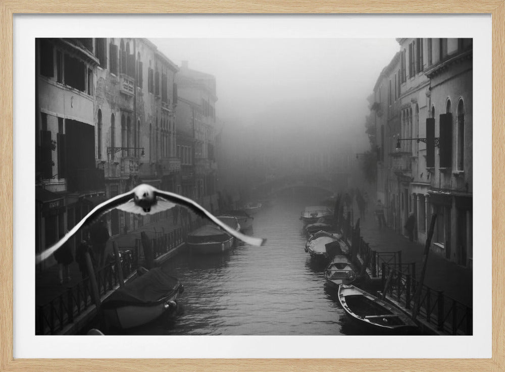 A framed black and white photograph capturing a moody, foggy canal in Venice. A seagull is in mid-flight, soaring directly towards the viewer in the foreground. Along the canal, boats are moored next to old, weathered buildings, and a bridge is barely visible in the distant mist, creating a mysterious and atmospheric scene. Artwork
