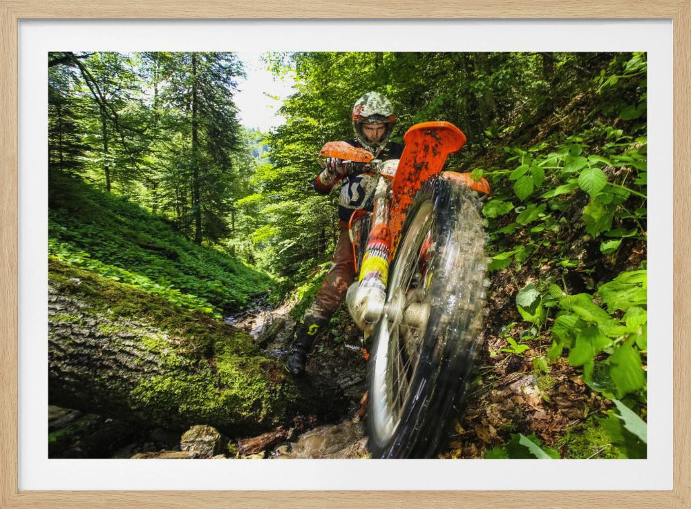A motocross rider on an orange dirt bike tackles a muddy, wooded trail, maneuvering around a moss-covered log in a lush green forest, seen from a low-angle perspective. Decor