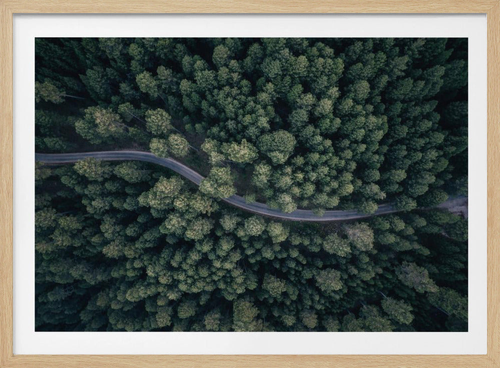 An aerial, top-down photograph of a winding grey road cutting through a vast, dense forest of dark green pine trees, framed in a simple silver border. Decor