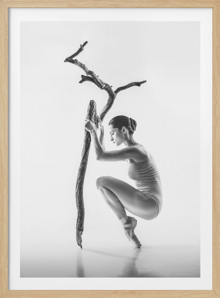 A minimalist black and white photograph of a graceful ballerina in a low squat, balancing en pointe. She holds onto a tall, textured tree branch for support against a stark white background, all within a thin black frame. Wall Art
