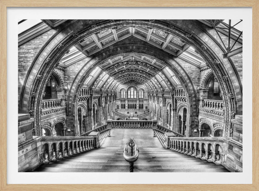 A dramatic black and white photograph of the grand interior of the Natural History Museum in London, taken from the top of the main staircase looking down into the vast Hintze Hall. The symmetrical composition highlights the ornate Romanesque Revival architecture, with its towering stone arches, intricate carvings, and a high, vaulted ceiling with skylights. Artwork