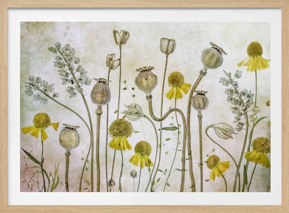 A framed piece of art depicting a whimsical arrangement of dried flowers and seed pods against a textured beige background. Yellow coneflowers and prominent poppy seed heads stand on long, delicate stems, creating the feel of a dried, late-season meadow. Artwork