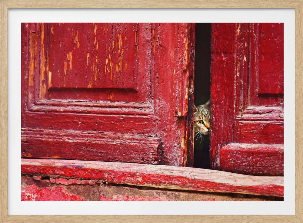 A close-up photograph of a tabby cat with striking yellow eyes peeking shyly from the dark gap of a slightly ajar, weathered red wooden door with peeling paint. The image is enclosed in a silver frame. Decor