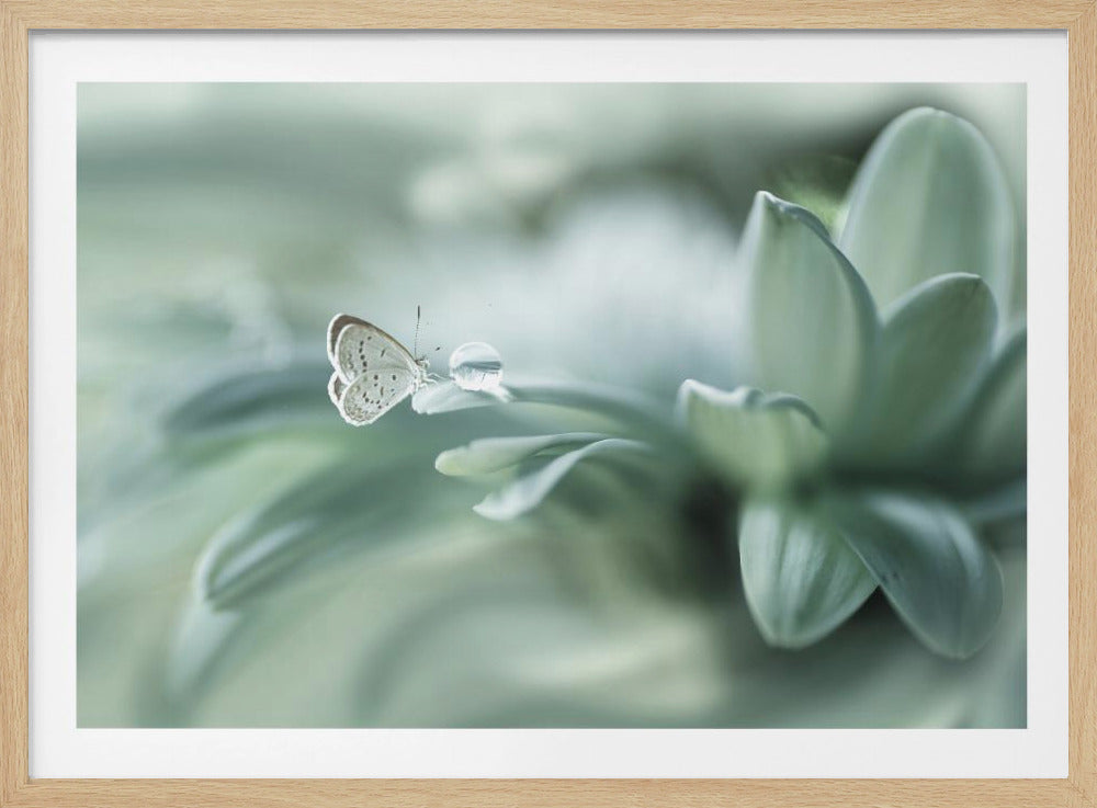 A delicate, light-colored butterfly perches on the tip of a soft green leaf, next to a single, glistening droplet of water. The background is a dreamy, out-of-focus blend of pale greens, creating a serene and ethereal atmosphere. Poster