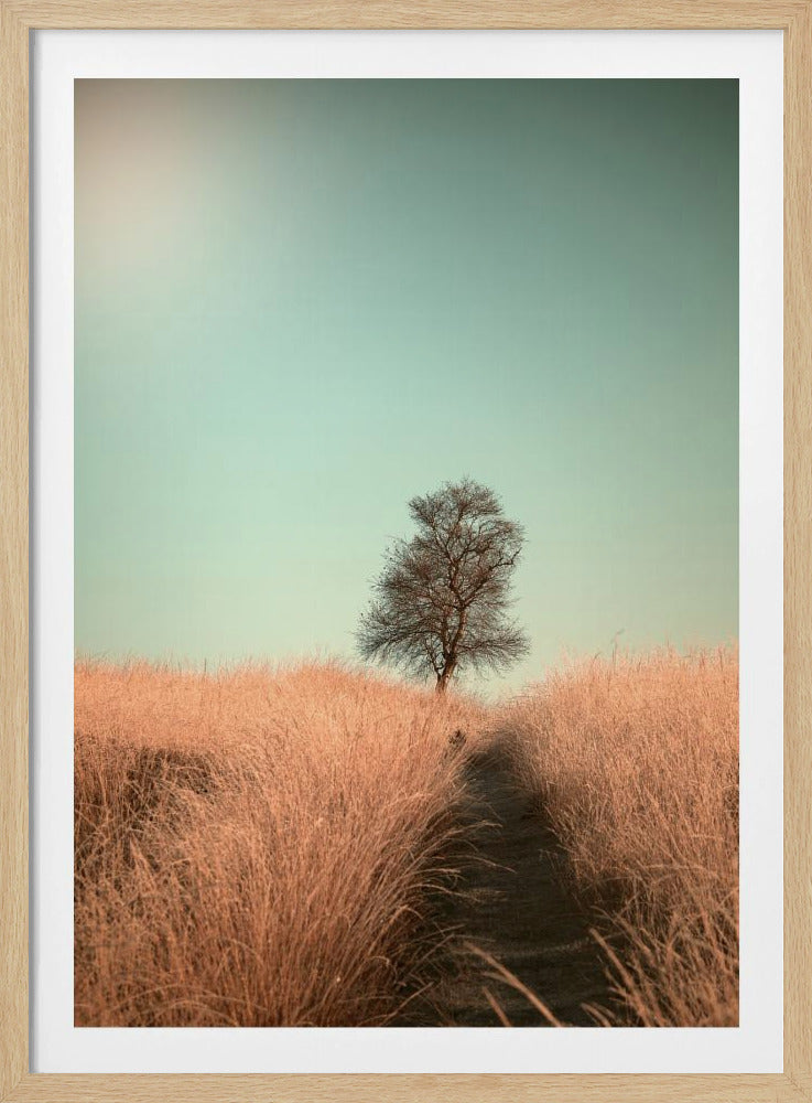 A minimalist photograph of a single bare tree standing alone on a gentle slope in a field of golden, dried grass under a clear, pale teal sky. A narrow path winds its way through the tall grass toward the tree. Print