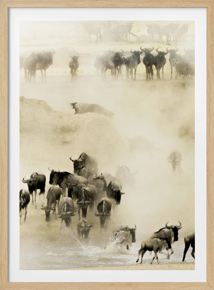 A hazy, sepia-toned photograph depicting the great wildebeest migration. A large herd is seen crossing a river, kicking up dust and water, creating a dynamic and atmospheric scene of wildlife in motion. Artwork