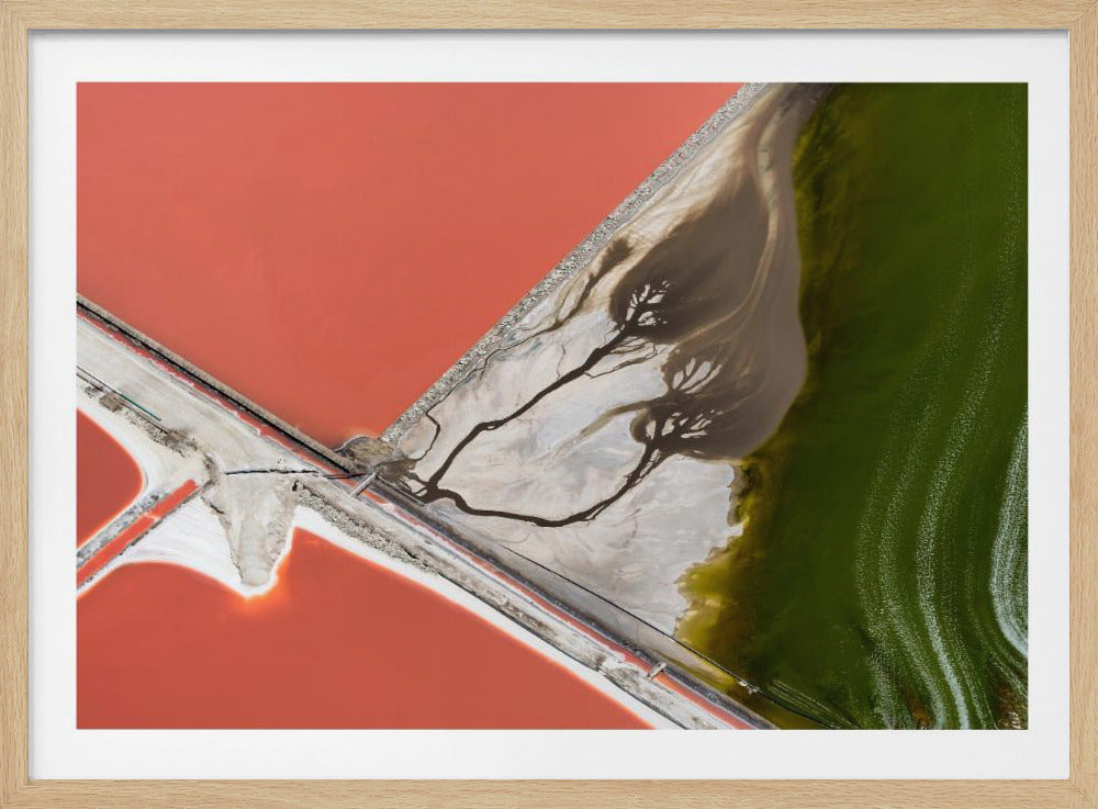 An abstract aerial photograph in a silver frame, showing a stark landscape divided into sections of coral-red water, green water, and a white salt flat with dark, tree-like river patterns. Print
