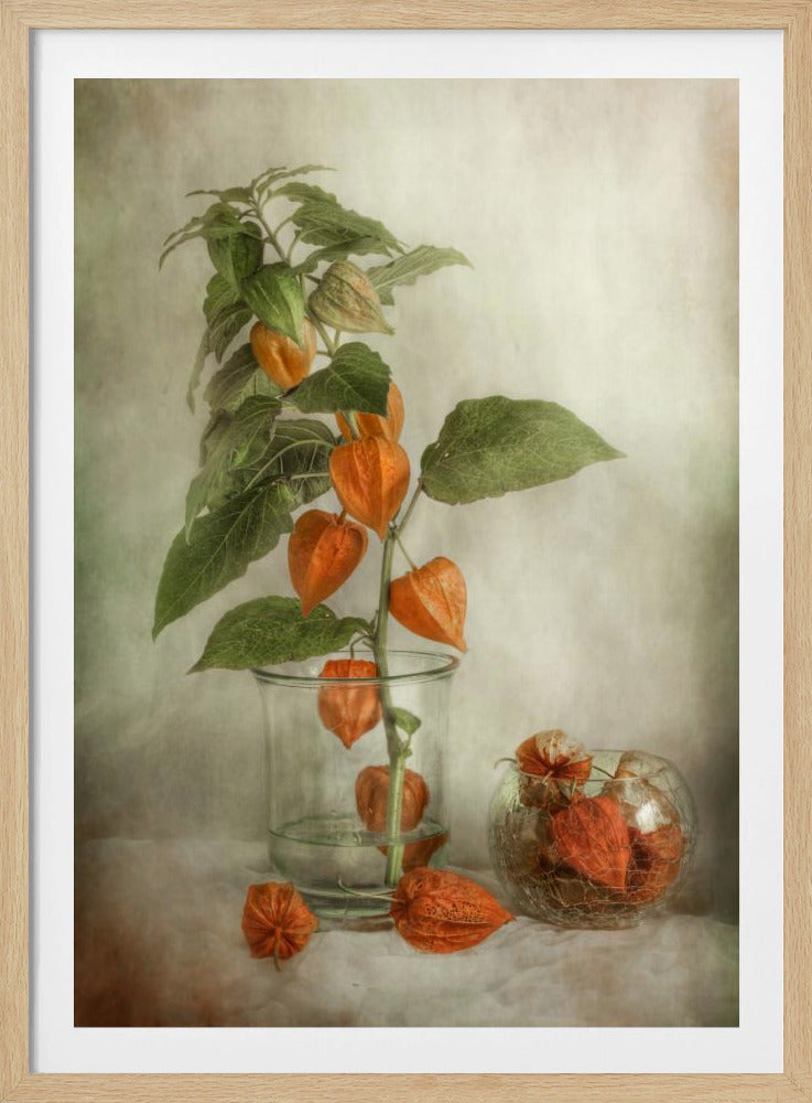 A painterly still life photograph of a Chinese lantern plant branch with vibrant orange calyxes and green leaves in a clear glass vase. Beside it, a small crackled glass bowl and scattered lanterns rest on a white surface against a textured, neutral background. Poster