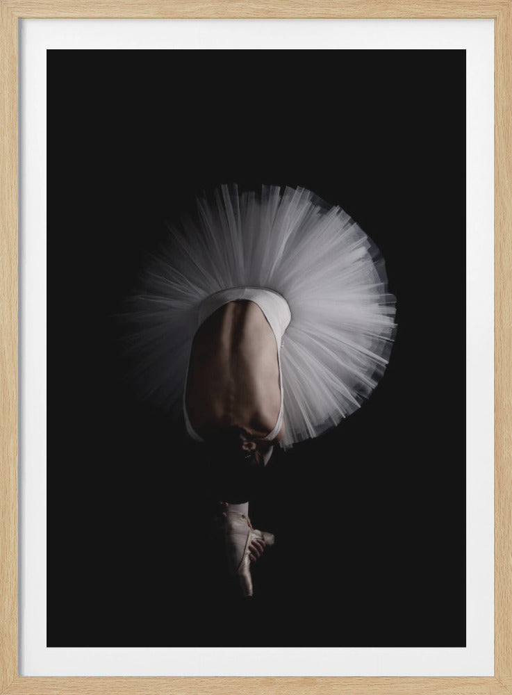 A dramatic photograph of a ballerina against a solid black background. She is bent completely forward, showing her arched back to the camera. Her white tutu fans out in a wide circle around her, and one foot in a pointe shoe is visible beneath her, balanced on its tip. Print
