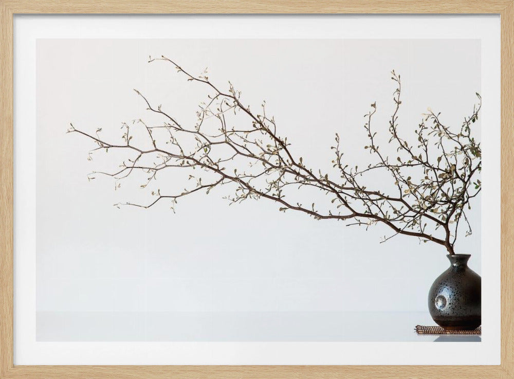 A minimalist still life of a long, delicate branch with small leaves arranged horizontally in a small, dark, round ceramic vase. The background is stark white, creating a high-contrast, serene composition, all within a silver frame. Print