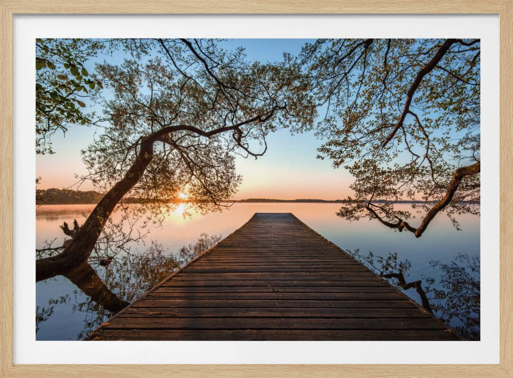 A tranquil sunrise over a still lake, viewed from a long wooden pier that stretches into the water, with silhouetted tree branches framing the serene scene. Poster