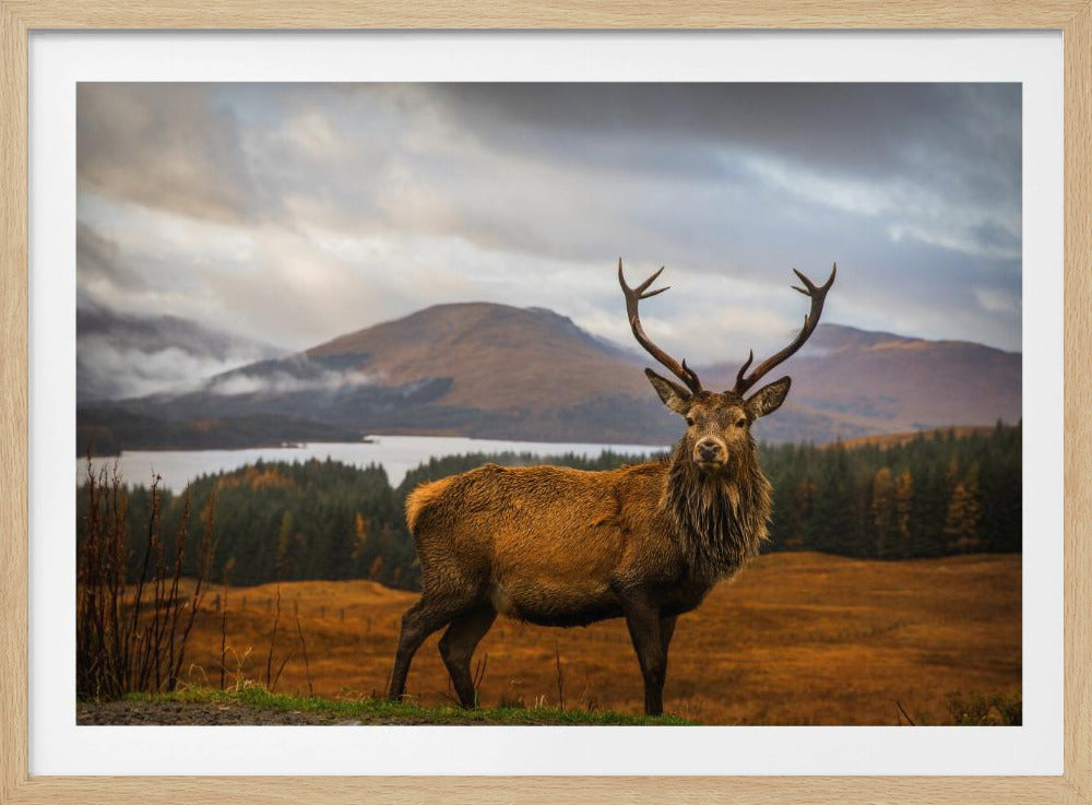A majestic red deer stag with large antlers stands on a grassy hill, looking directly forward. In the background, a serene lake is surrounded by a dense forest and misty mountains under a dramatic, cloudy sky. The entire photograph is displayed within a silver-colored frame. Poster