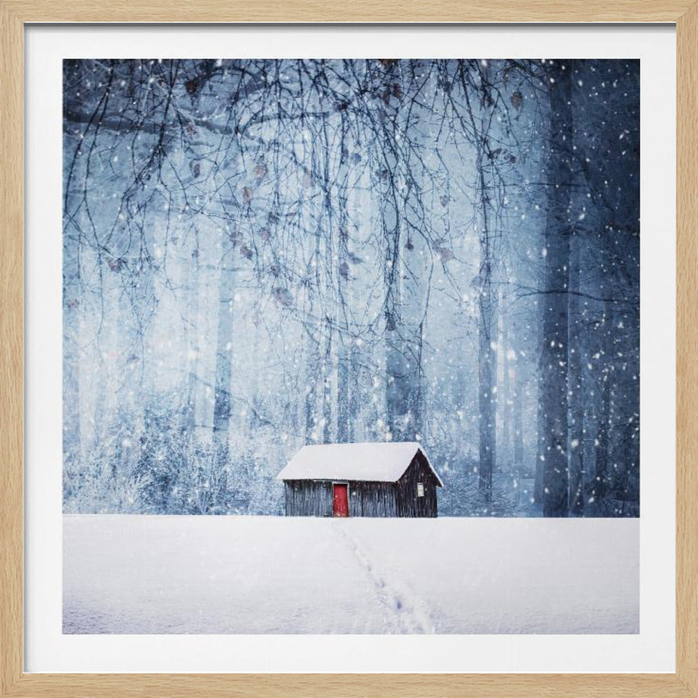 A framed photograph of a solitary dark wooden cabin with a bright red door sitting in a vast field of untouched snow. In the background, a dense, blue-toned forest stands tall as snow gently falls, with bare branches hanging in the foreground, creating a peaceful and cold winter scene. Print