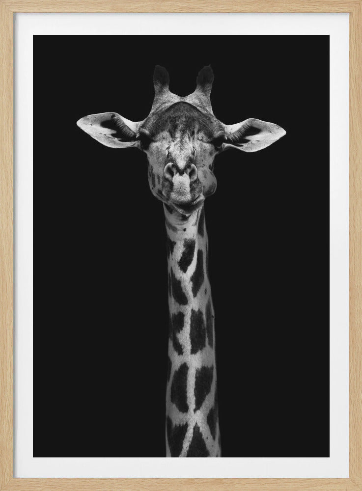 A striking black and white portrait of a giraffe against a solid black background. The giraffe is looking directly forward with a comical expression, its left cheek puffed out as if chewing. Decor