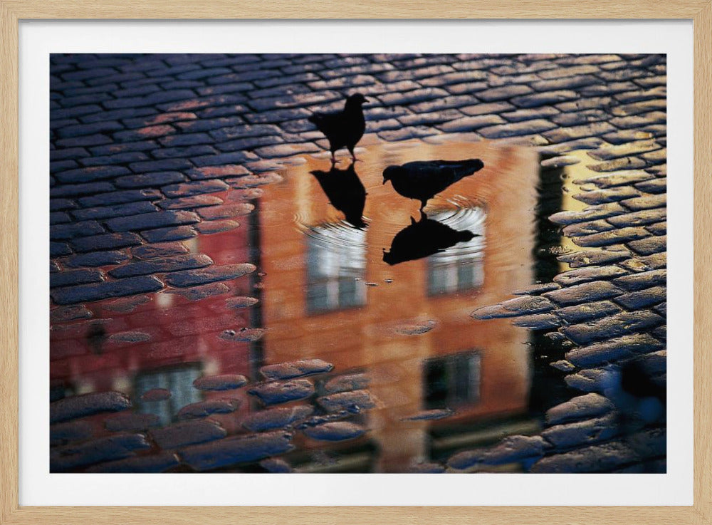 An artistic photograph of two silhouetted birds standing in a puddle on a wet cobblestone street. The puddle reflects an orange building with windows, and the birds' own reflections are visible beneath them, creating ripples in the water. The image is presented in a silver frame. Decor