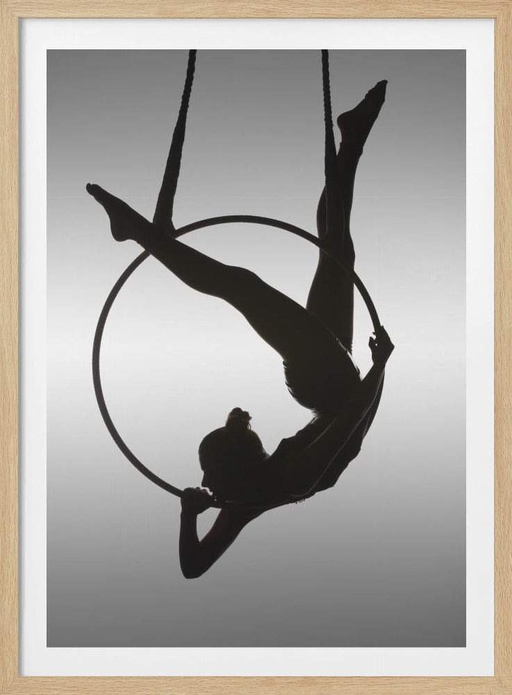 A black silhouette of a graceful female acrobat in an inverted pose on a suspended aerial hoop, set against a light grey background. Print