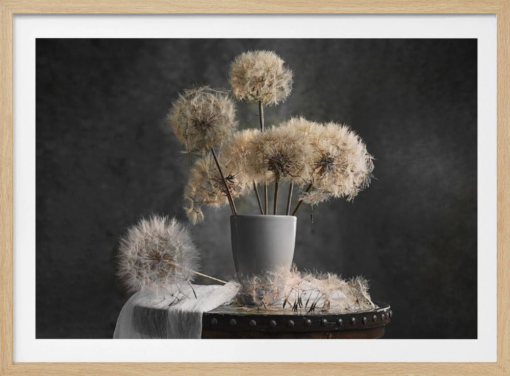 A moody still life photograph of a light gray vase filled with large, fluffy dandelion seed heads. The vase sits on a rustic, dark brown table with scattered seeds around its base. One dandelion puff rests on a piece of white fabric next to the vase, all set against a dark, textured gray background and enclosed in a silver frame. Wall Art