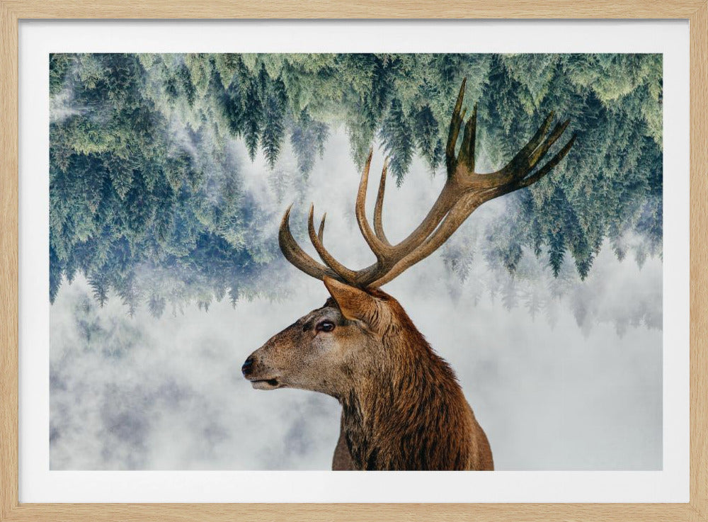 A surreal double-exposure style image featuring the profile of a brown stag with large antlers. The top half of the image is an inverted green pine forest that blends into a foggy, light grey background surrounding the deer. The entire artwork is presented within a silver frame. Poster