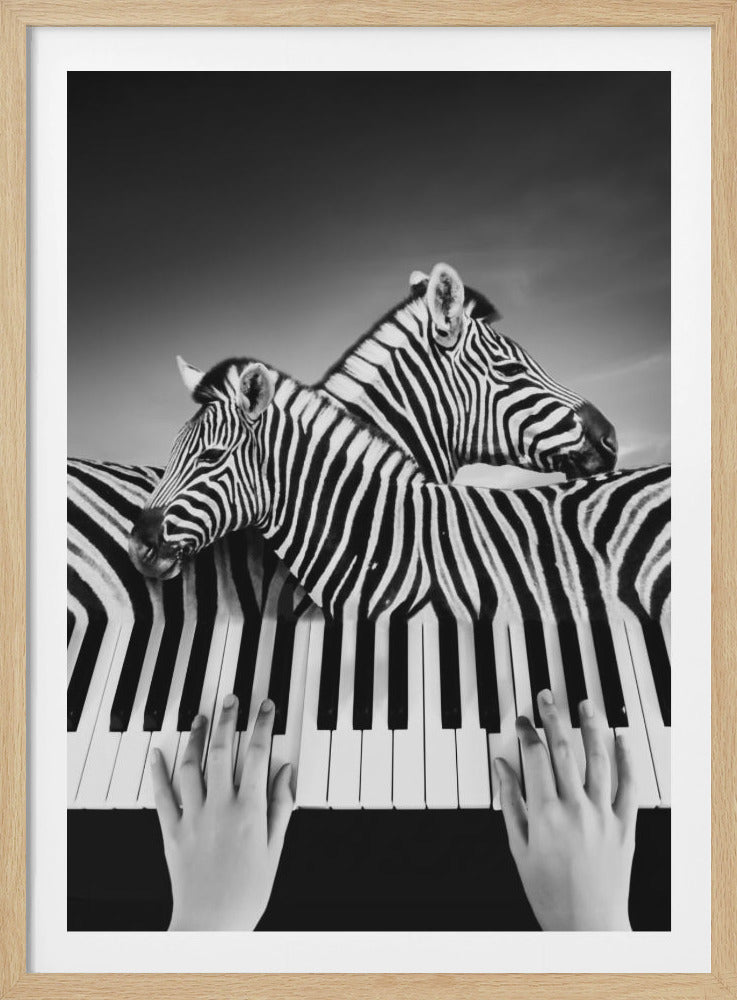 A surreal black and white photograph where the striped bodies of two zebras morph into the keys of a piano. In the foreground, a pair of hands are playing the imaginative instrument against a simple sky background. Decor