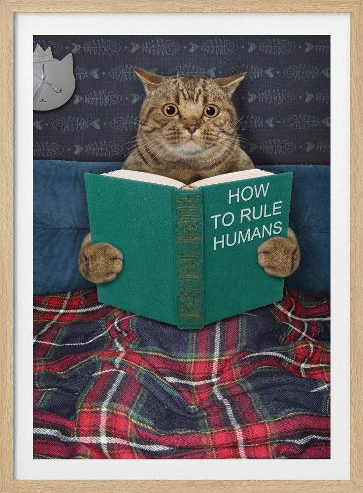 A humorous picture of a brown tabby cat sitting up in bed, intently reading a green book titled 'How To Rule Humans.' The cat is tucked under a red and blue plaid blanket, against a blue headboard with fishbone-patterned wallpaper and a cat-shaped clock in the background. Print