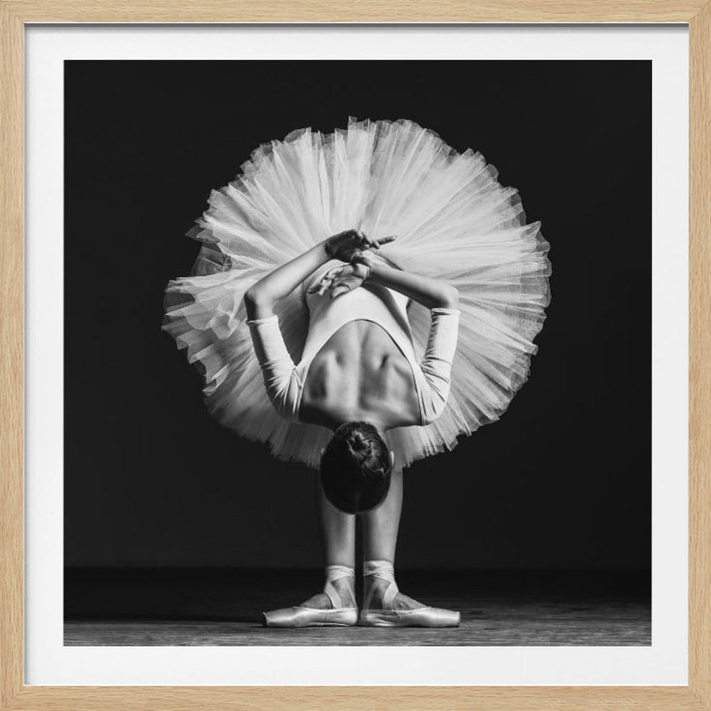 A framed, black and white photograph of a ballerina from behind. She is bending forward at the waist, her arms crossed behind her back. Her white tutu fans out like a perfect circle around her torso, contrasting against the dark background. She is standing en pointe in ballet shoes. Print