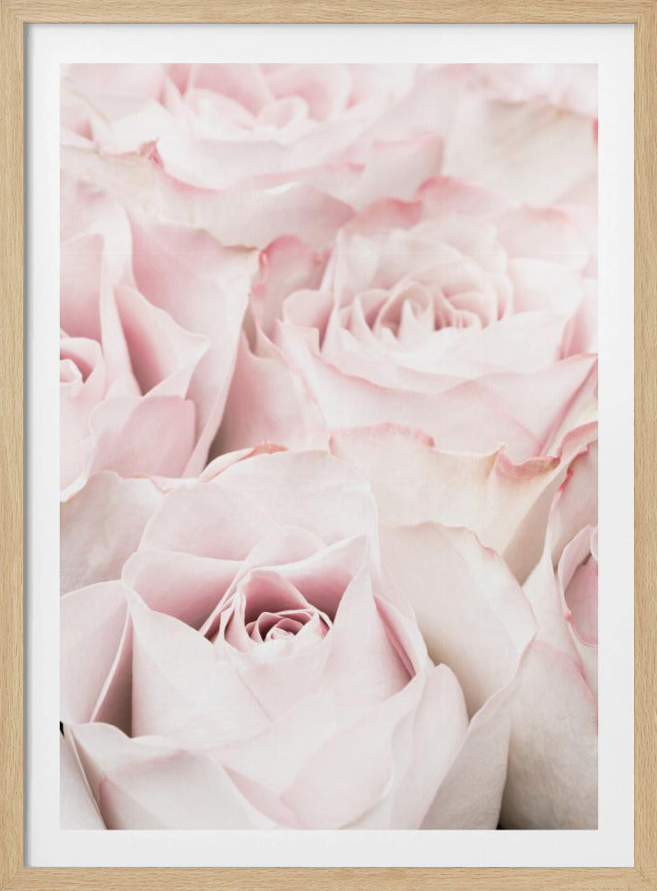 A close-up, soft-focus photograph of a bouquet of delicate, light pink roses filling the entire frame, enclosed in a simple black border. Poster