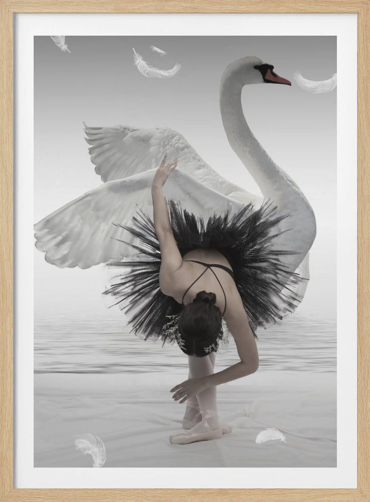 A surreal black and white image of a ballerina in a black tutu bending over, her pose echoed by a large white swan behind her with wings outstretched. White feathers float in the air against a minimalist water and sky background. Print