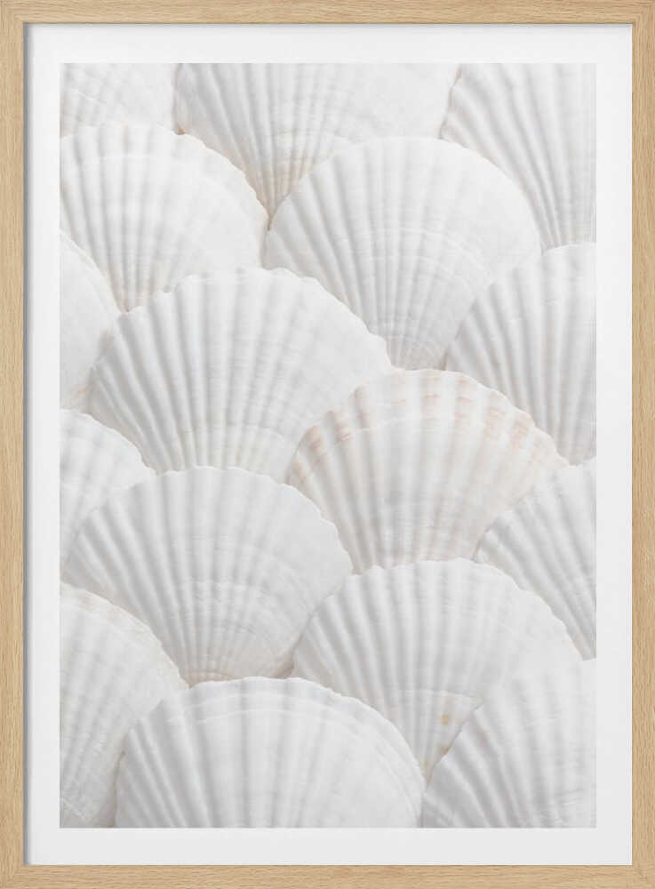 Shells_3 - Poster / Art Print