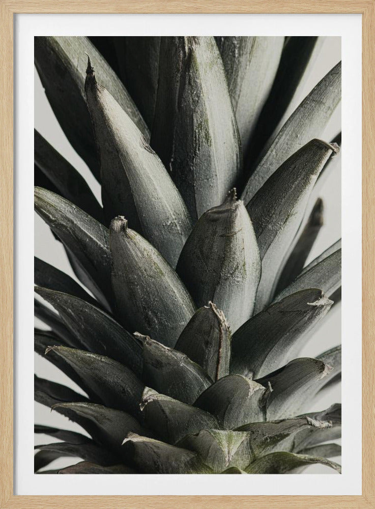 A dramatic, black and white close-up photograph of the textured, spiky leaves forming the crown of a pineapple against a light gray background. Artwork