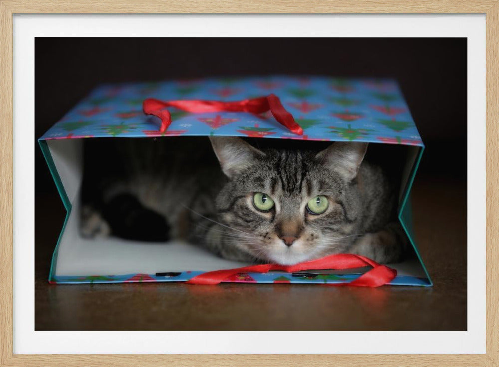 A close-up photograph of a grey tabby cat with bright green eyes peeking out from inside a blue holiday gift bag with a red ribbon in the foreground, all enclosed in a silver frame. Print