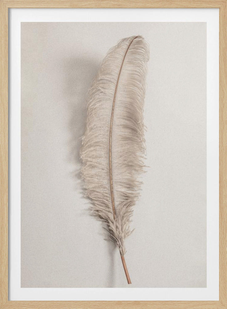 A minimalist photograph of a single, delicate, light beige feather with a thin brown quill, set vertically against a pale, textured gray background and surrounded by a thin black frame. Artwork