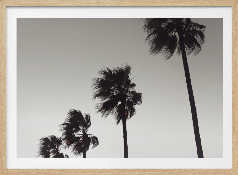 A framed black and white photograph of four silhouetted palm trees of increasing height, arranged diagonally against a plain, light grey sky. The palm fronds are blurred, suggesting they are blowing in the wind. Decor