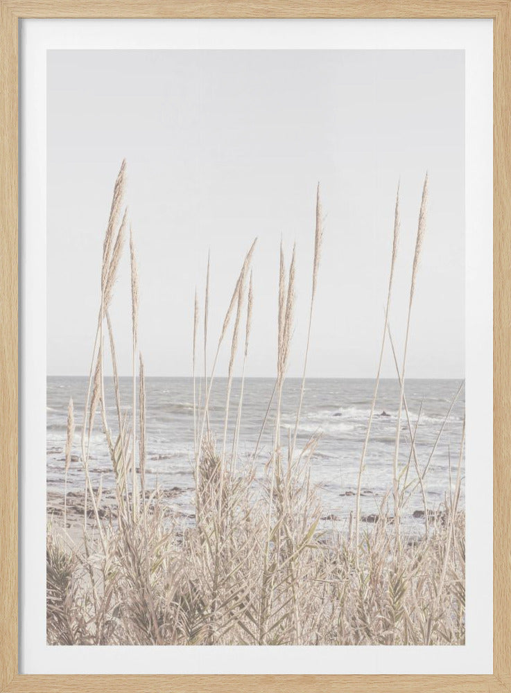 A minimalist photograph of tall, dry beige reeds in the foreground with a calm grey ocean and a pale, overcast sky in the background. The image is framed in black and has a serene, muted tone. Wall Art