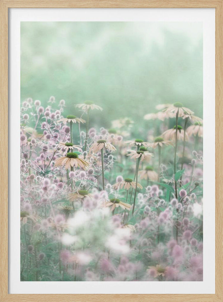 A soft-focus, dreamy photograph of a field of wildflowers, including pale coneflowers with green centers and fuzzy pink thistles, set against a hazy, light green background, creating an ethereal and serene atmosphere. The image is shown within a thin black frame. Poster
