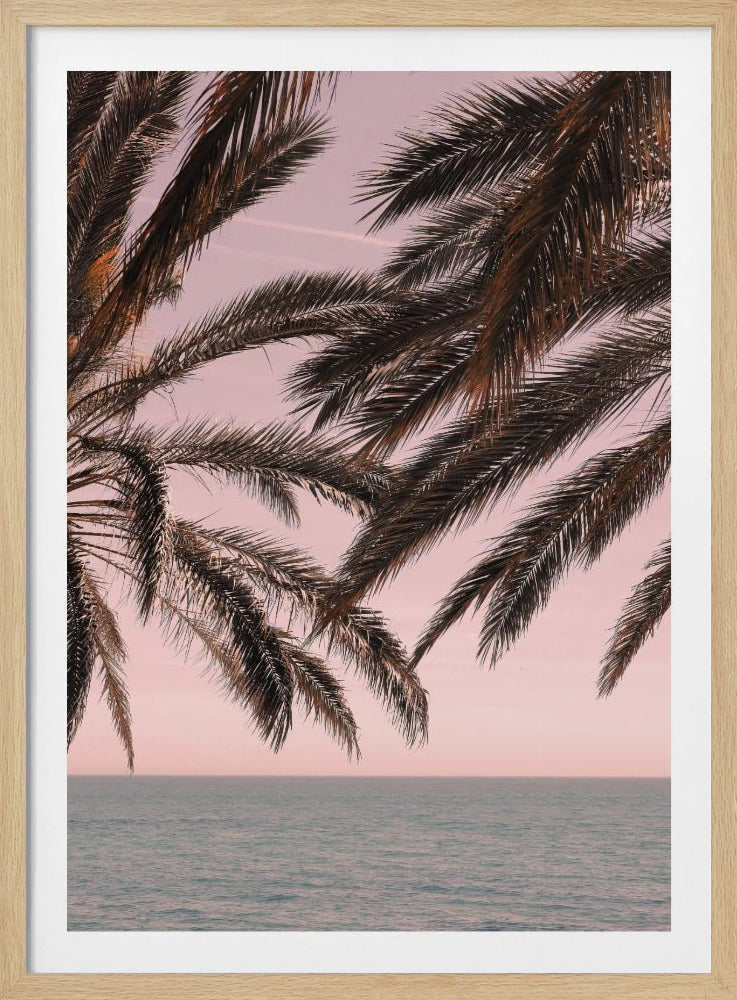 Dark palm tree fronds hang over a calm teal ocean under a soft pink sky, creating a serene and tropical atmosphere. The view is from under the palm tree looking out towards the water. Artwork