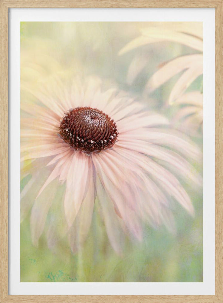 A soft-focus, artistic closeup of a pale pink coneflower with a prominent dark brown, textured center. The background is a dreamy, painterly blend of soft greens and yellows, giving the image an ethereal quality. Wall Art