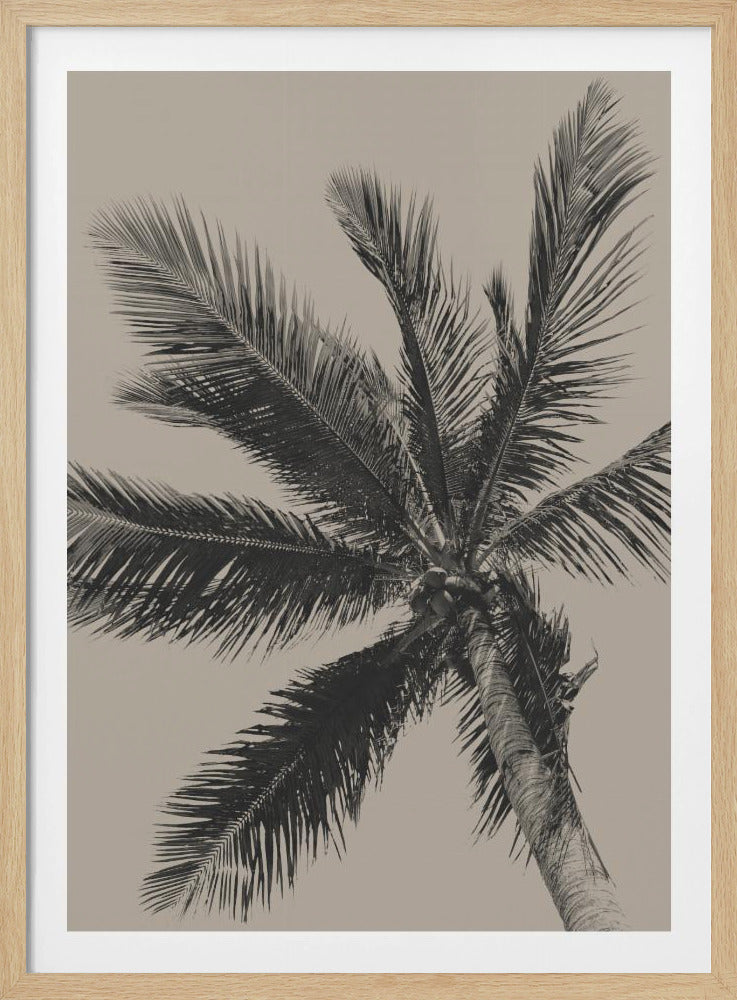 A low-angle, monochrome photograph of a palm tree against a solid light beige sky. The image is framed in black, and the palm fronds spread out across the frame, with a few coconuts visible at the top of the trunk. Poster