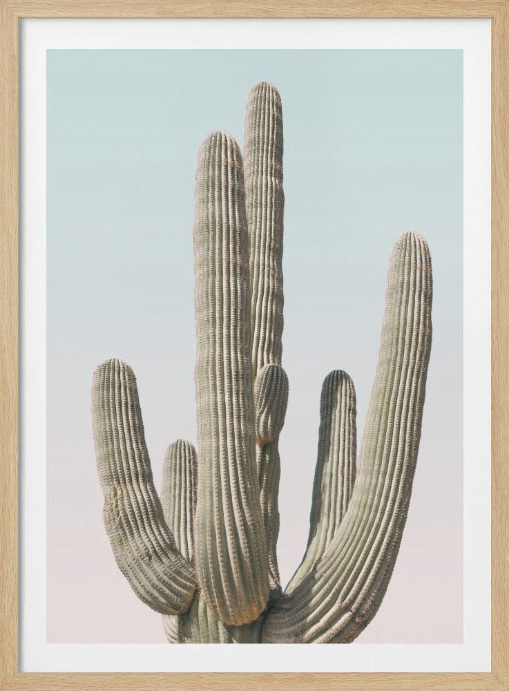 A close-up photograph of a large saguaro cactus with multiple arms reaching up towards a pale, light blue sky. The cactus is a muted sage green color with detailed vertical ribs. The image has a minimalist and serene feel and is enclosed in a simple black frame. Poster