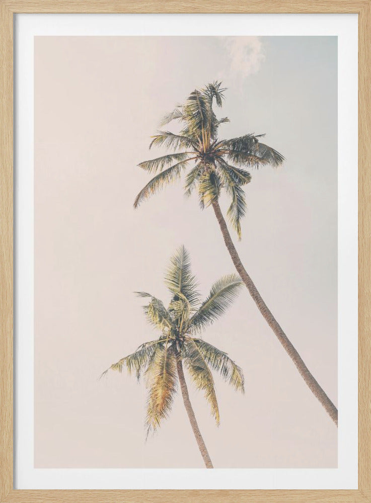 A low-angle photograph of two tall palm trees with green and yellow fronds against a pale, hazy sky. The image has a warm, vintage-style filter and is shown within a black frame. Artwork