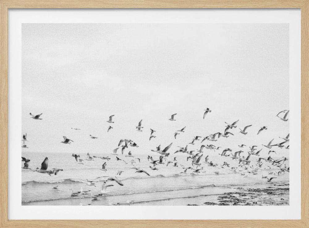A black and white photograph of a large flock of seagulls taking off from a beach. Numerous birds are in various stages of flight above the shoreline and the gentle waves of the ocean, against a pale, overcast sky. The image is presented in a silver frame. Wall Art