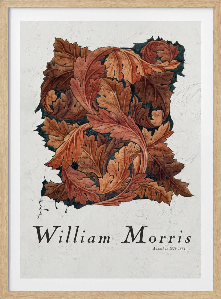 A framed art print by William Morris titled 'Acanthus 1879-1881'. The artwork features an intricate pattern of swirling acanthus leaves in shades of brown, rust, and orange against a dark background, all set on a textured off-white paper. Poster