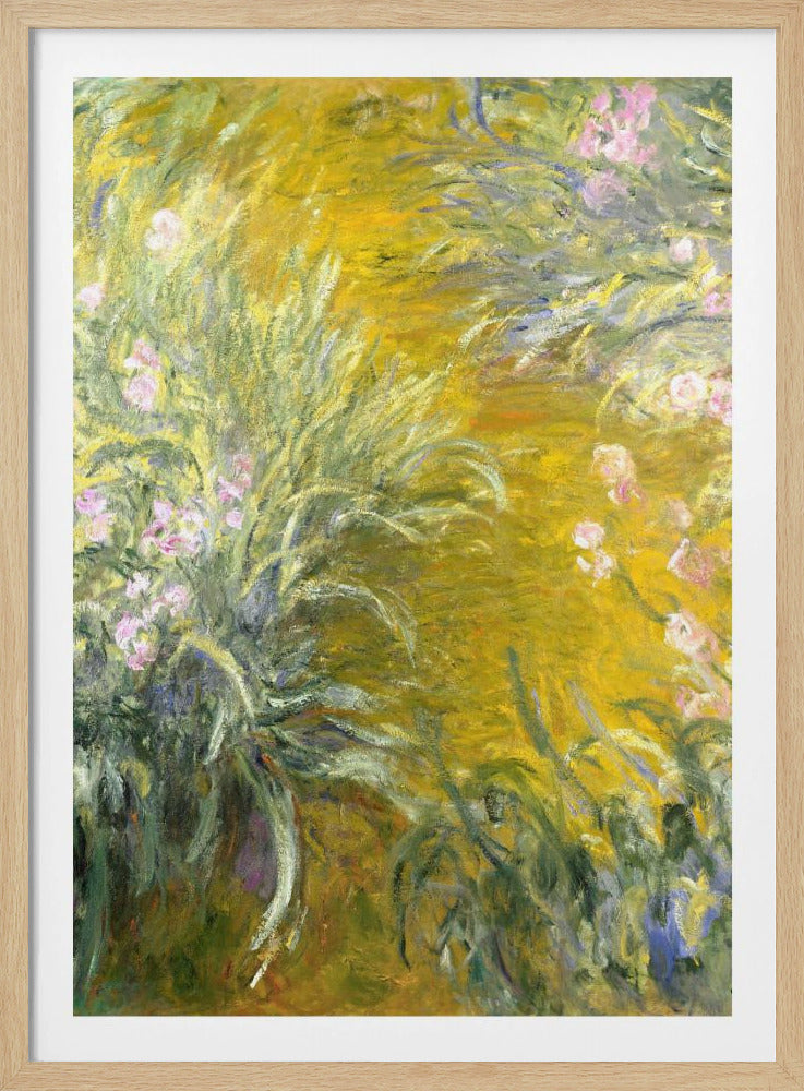 An Impressionist painting by Claude Monet of a sunlit garden, possibly Giverny. The canvas is filled with energetic brushstrokes depicting tall green leaves and soft pink irises against a vibrant, almost abstract background of golden yellow. Print