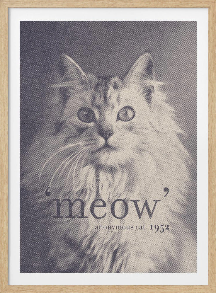 A vintage-style, duotone framed poster of a long-haired, fluffy cat. The cat is looking forward, and overlaid text at the bottom reads, ''meow' anonymous cat 1952'. The image has a halftone print texture. Wall Art