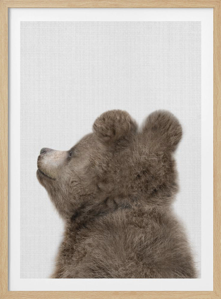 A framed portrait of a fluffy brown bear cub from the shoulders up, shown in profile view looking up and to the left against a textured white background. Poster