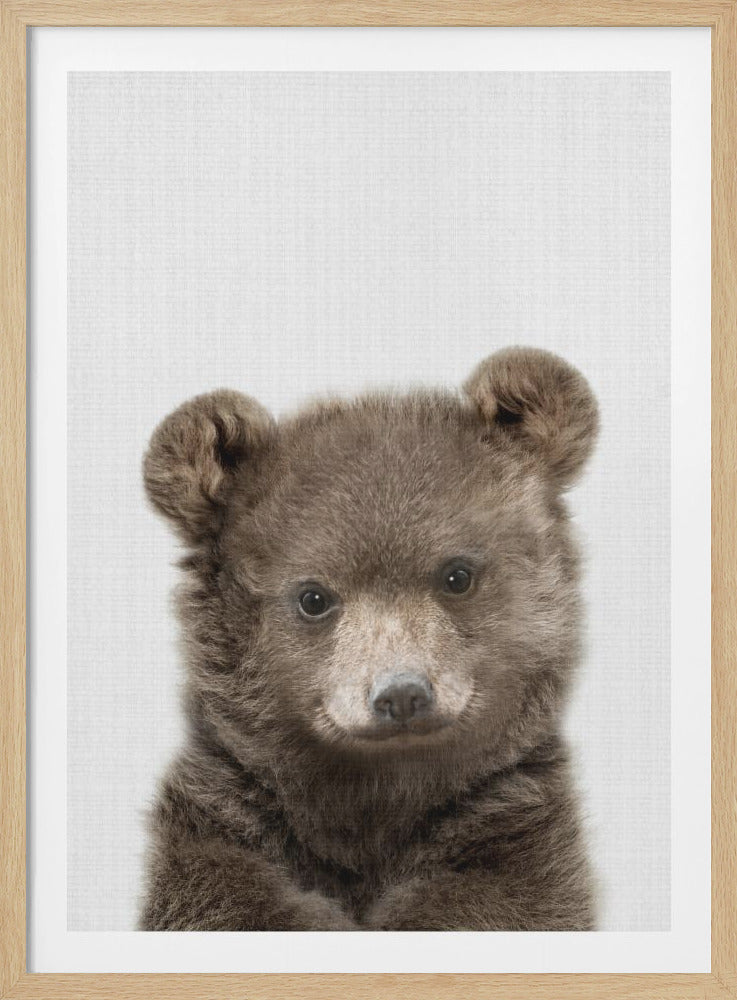 A close-up studio portrait of a fluffy brown bear cub looking directly at the camera. The cub has round ears and dark, expressive eyes against a light, textured white background, all within a thin black frame. Artwork